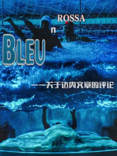 翻译｜蓝与红——关于达内文章的评论